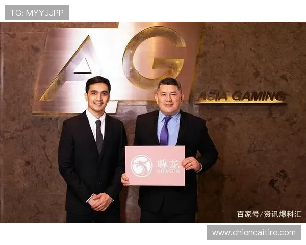 尊龙D88游戏官网入口：官方入口常见问题及解决方案全攻略