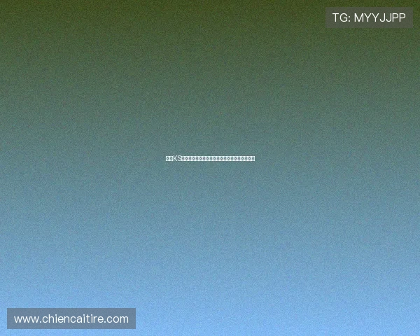 凯时KS现金开户流程详解助你轻松开启高收益游戏体验 凯时KS现金开户流程详解助你轻松开启高收益游戏体验