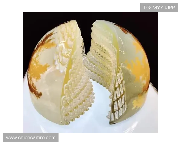 尊龙人生就是博首页下载最新版本更新内容介绍确保玩家体验不断提升 尊龙人生就是博首页下载最新版本更新内容介绍确保玩家体验不断提升