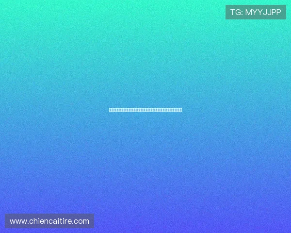 澳门金龙足球官网世界杯球队阵容分析与热门球员表现亮点深度解读